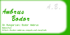 ambrus bodor business card